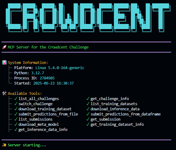 MCP Server Startup